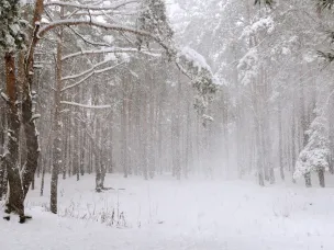 Экстренное предупреждение